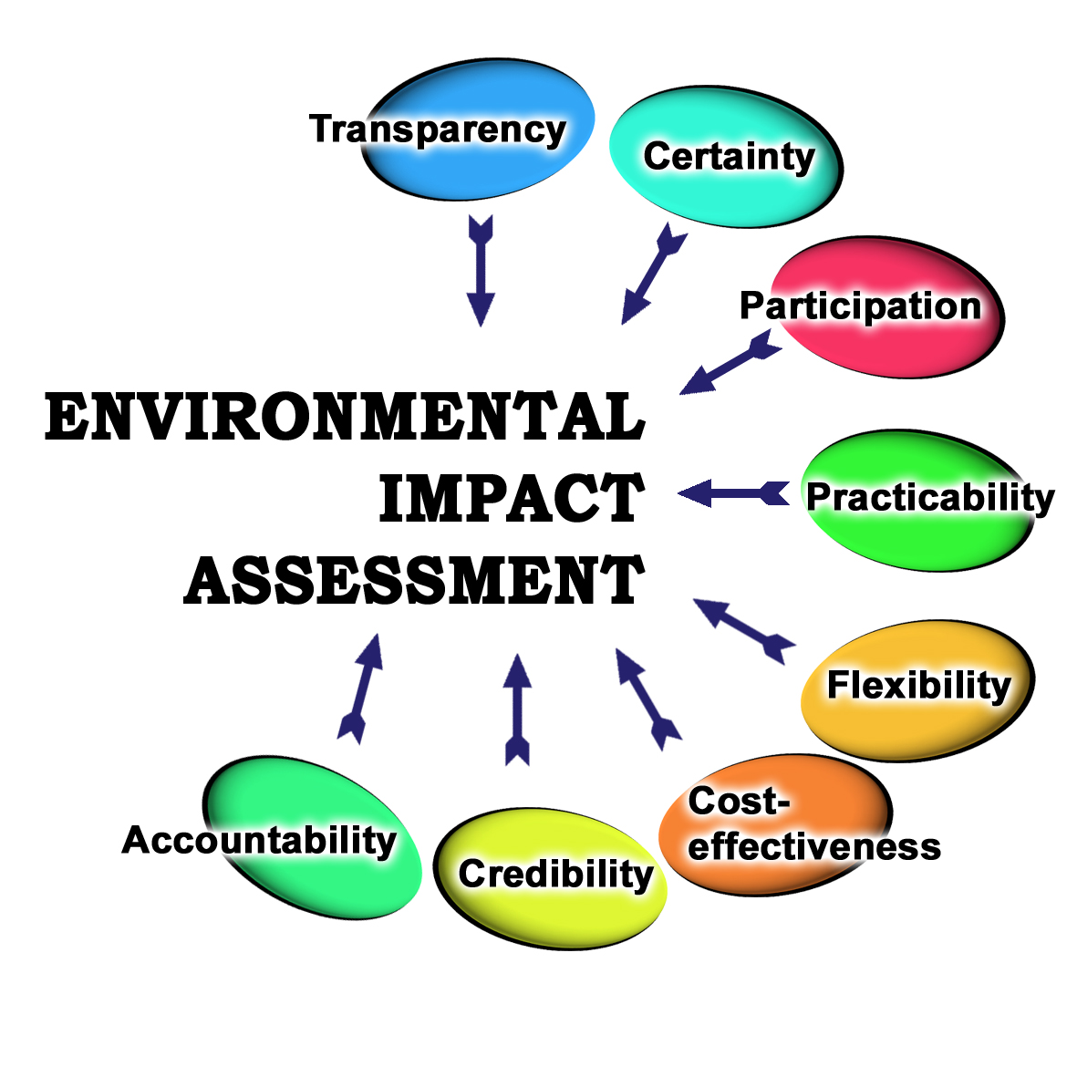 Ser Environment Impact Assessment